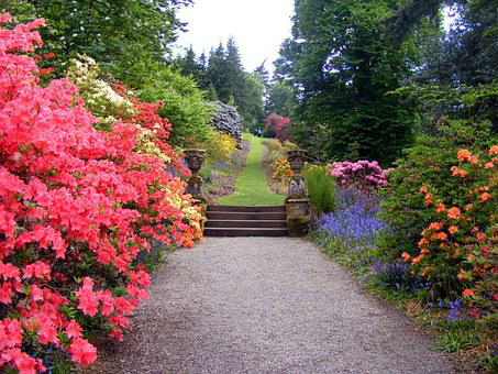 Keep your residiential or commercial gardens tidy and well maintained. Garden path.